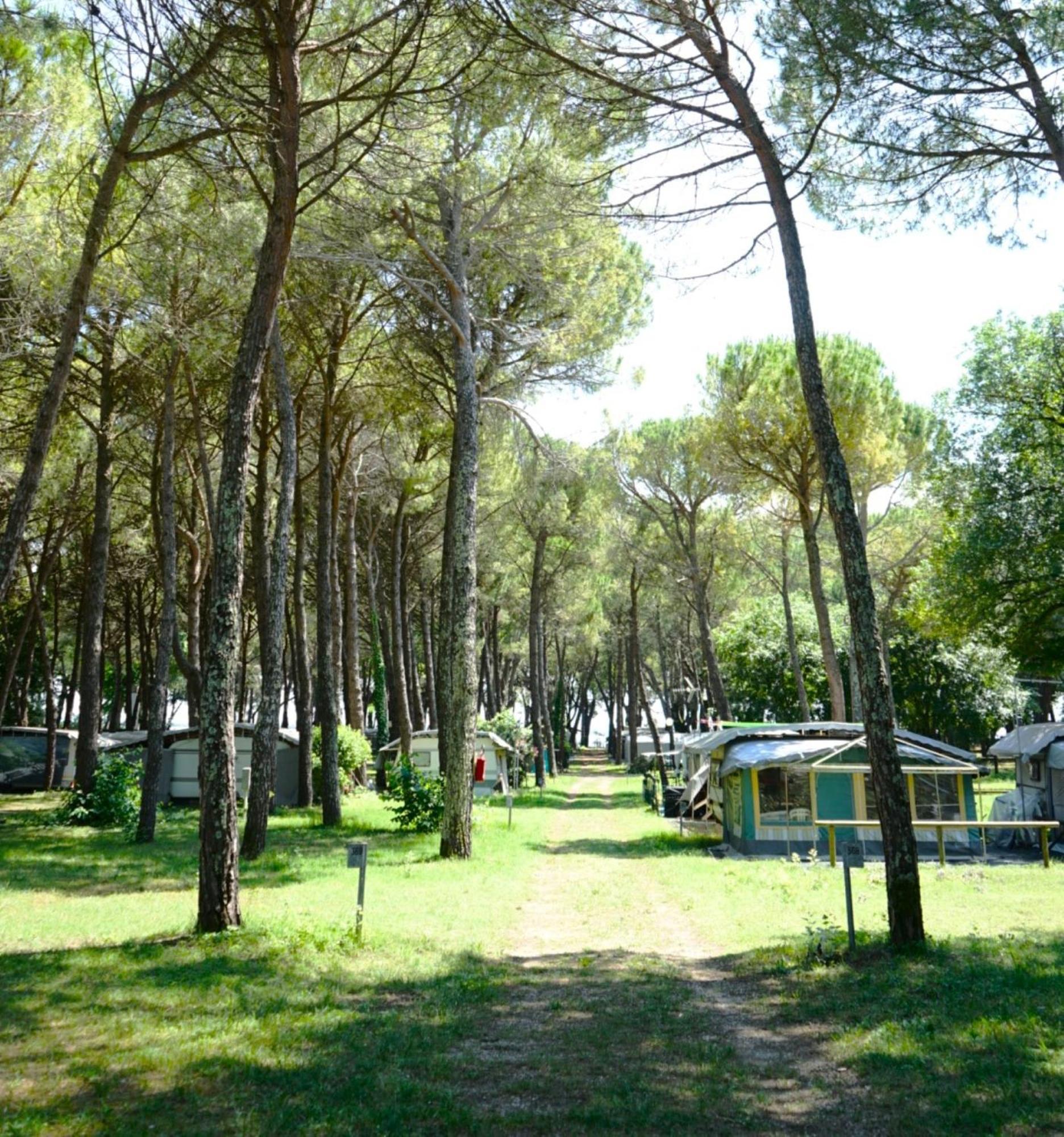 Belvedere Pineta Camping Village Grado Belvedere (Friuli Venezia Giulia) Exterior foto