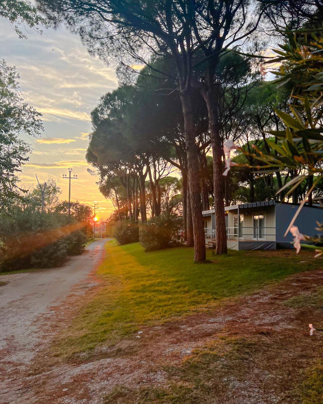 Belvedere Pineta Camping Village Grado Belvedere (Friuli Venezia Giulia) Exterior foto
