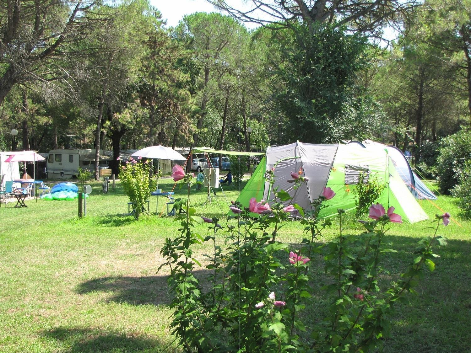 Belvedere Pineta Camping Village Grado Belvedere (Friuli Venezia Giulia) Exterior foto