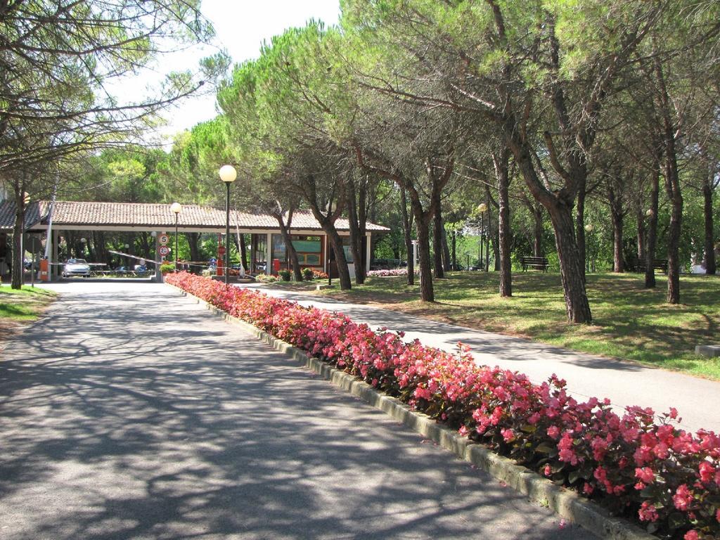 Belvedere Pineta Camping Village Grado Belvedere (Friuli Venezia Giulia) Exterior foto