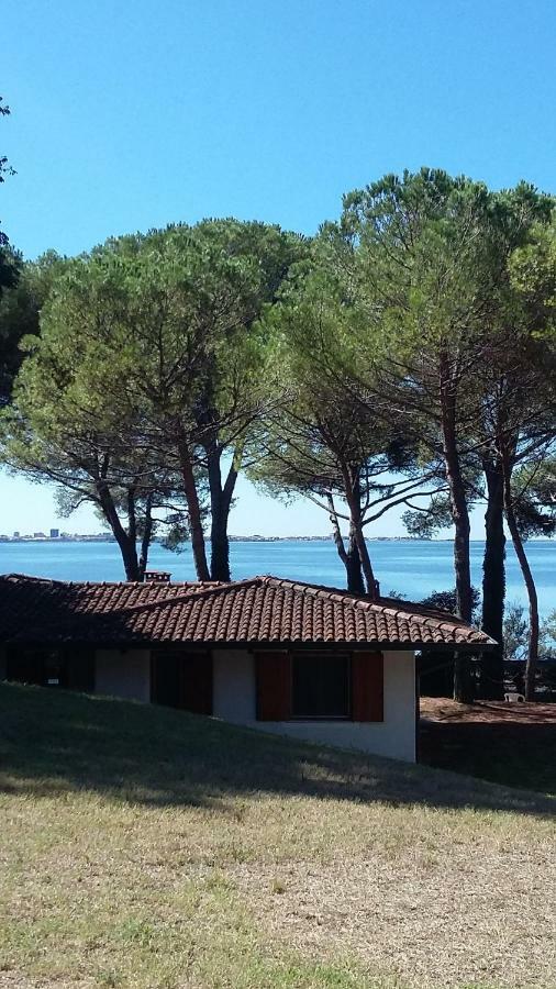 Belvedere Pineta Camping Village Grado Belvedere (Friuli Venezia Giulia) Exterior foto